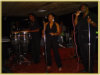 Starlites Band